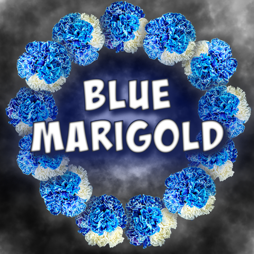 Poster for Blue Marigold